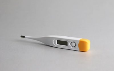 asset 8 (1)